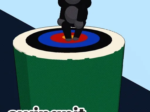 swingpit Cover